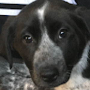 Meet your Posher, Deb